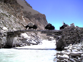 Obr. 10d Ukzka principu konzolovho mostu z Tibetu
